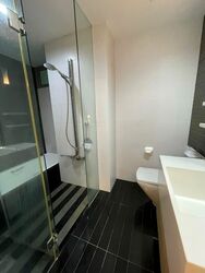 Park Infinia At Wee Nam (D11), Condominium #576911641